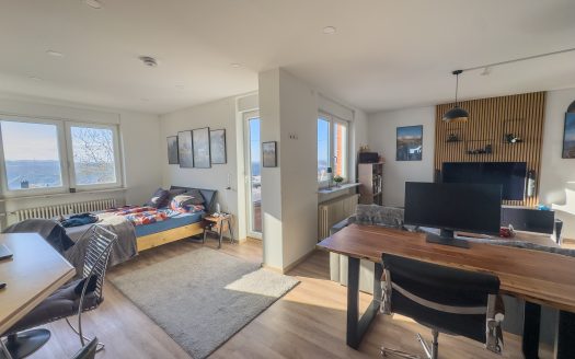 Penthouse-Feeling. Modernisierte Wohnung mit Blick ins Moseltal