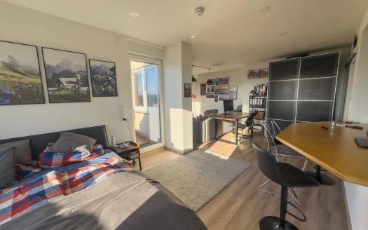 Penthouse-Feeling. Modernisierte Wohnung mit Blick ins Moseltal