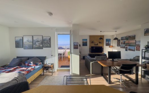 Penthouse-Feeling. Modernisierte Wohnung mit Blick ins Moseltal
